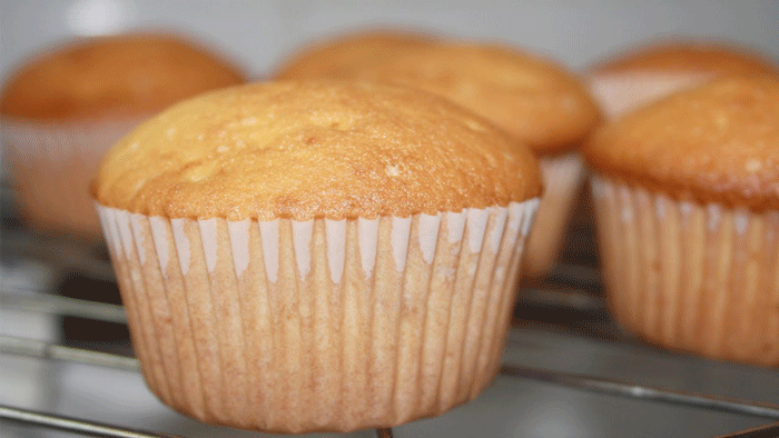 cup cake